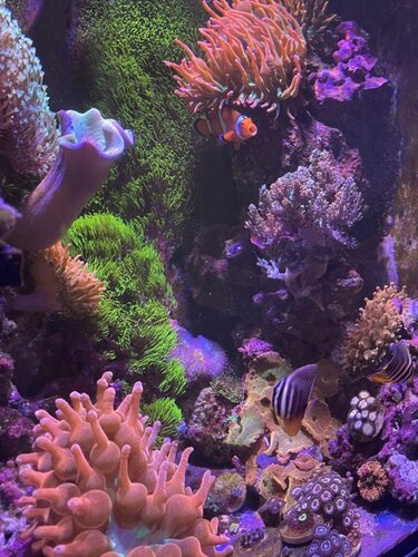 FTS
