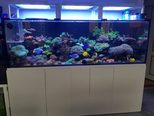 20220414_120405.jpg