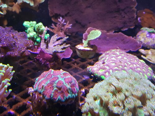 20220511_204452.jpg