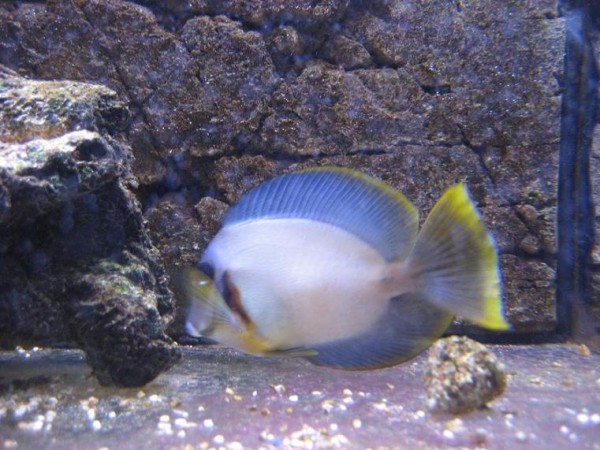 Bonnie 016.JPG