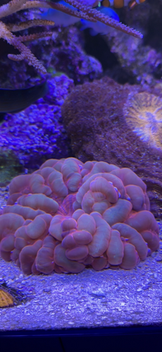 74492B7D-F2E1-47DB-BF07-C80957C74E7D.png