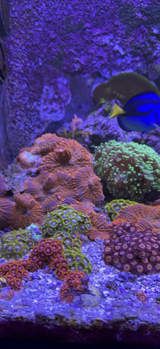 3C8DC486-002D-4A9A-8ED9-E4FE07C7DD9A.png