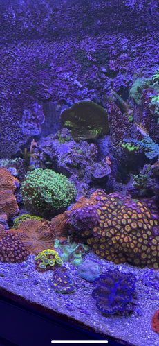 A9BA5817-12E3-4F30-AC35-AD6CDF05D293.png