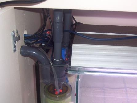 2004 aquarium build
