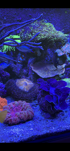 CA1648B0-BBBD-451D-80E5-614FC072C8AA.png