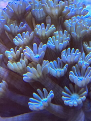 B361B234-9C77-4849-BEFC-104EC736F408.jpeg