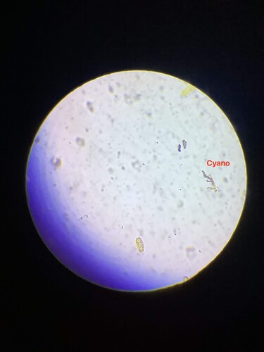 Microscopes 02