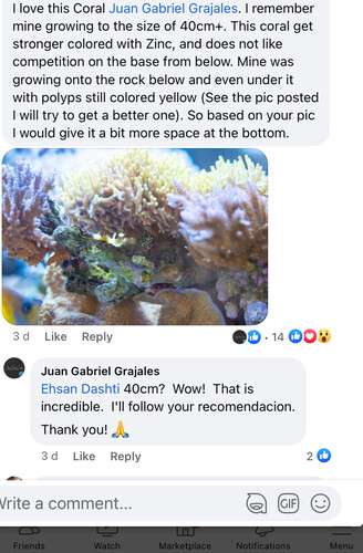 Convo