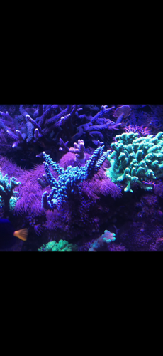 image34.png
