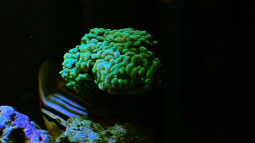 47D6A59B-9D5C-4A35-ABC1-47C5F5D04EE8.jpeg