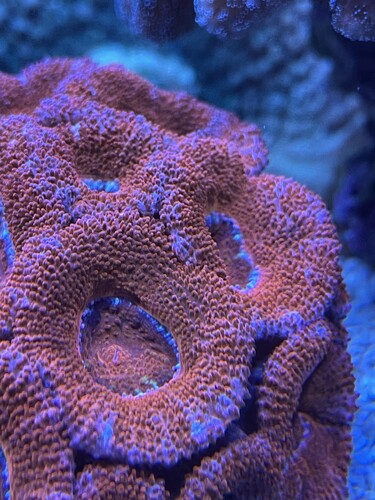 4333B7DC-0525-43A2-8487-198CA36C3E6C.jpeg