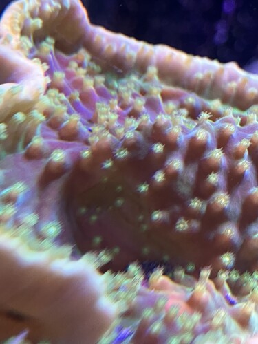 36D5F0A6-3668-4A3C-A68B-33C4D414FD14.jpeg