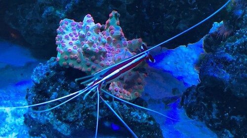 IMG_1715.JPG