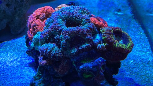 IMG_1704.JPG