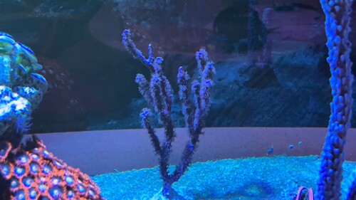 IMG_1700.JPG