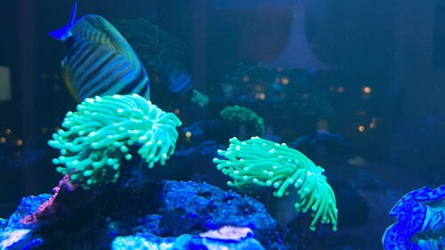 IMG_1687.JPG
