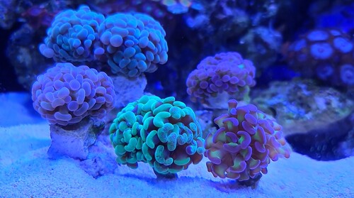 IMG_20230416_202244.jpg