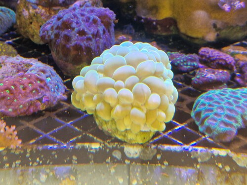 20230430_115945.jpg