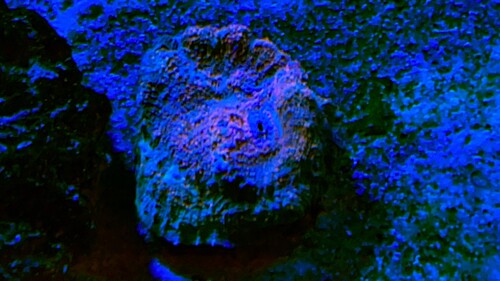 IMG_1902.jpeg