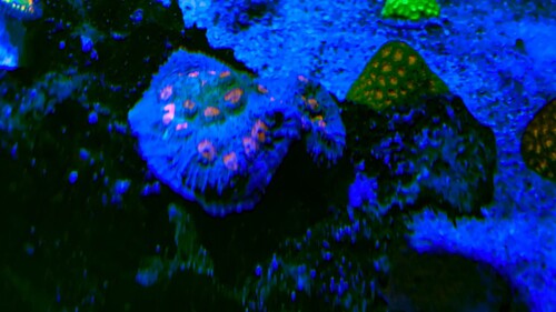 IMG_1895.jpeg