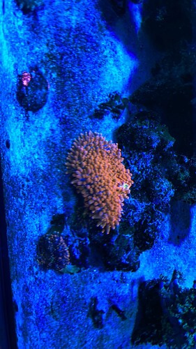 IMG_1891.jpeg