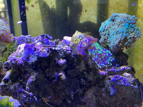 IMG_1950.jpeg