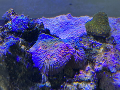 IMG_1944.jpeg