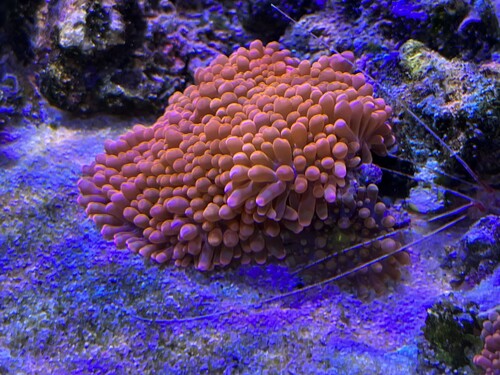 IMG_1941.jpeg