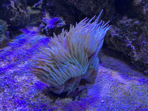 IMG_1926.jpeg