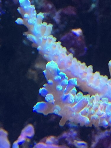 IMG_0636.jpeg