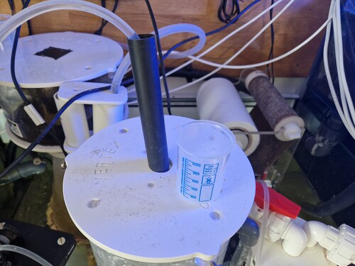 20230517_113701.jpg