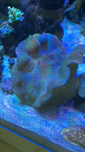 IMG_0673.jpeg