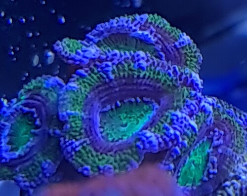 20230519_174844.jpg