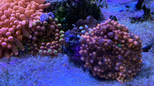 IMG_2206.jpeg