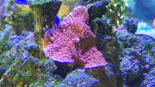 IMG_2214.jpeg