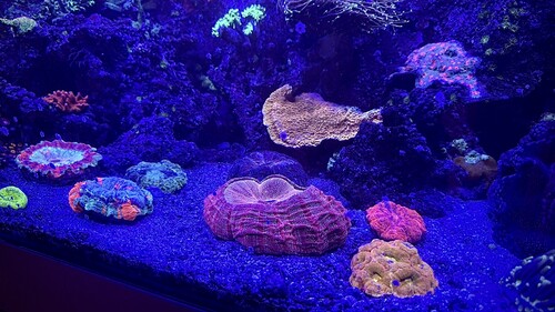 IMG_4823.jpeg
