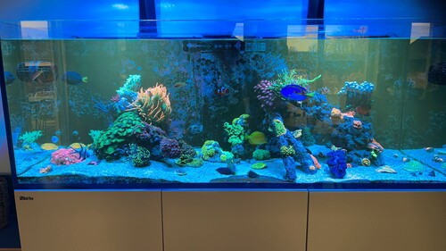 IMG_9042.jpeg