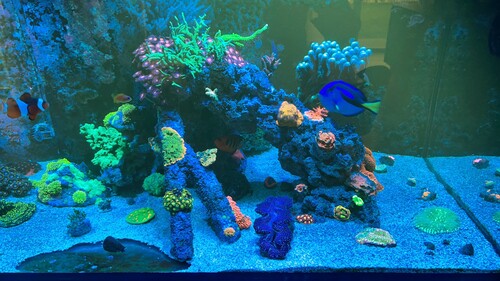 IMG_9040.jpeg