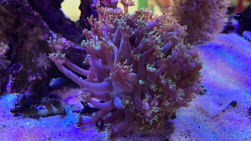 IMG_2607.jpeg