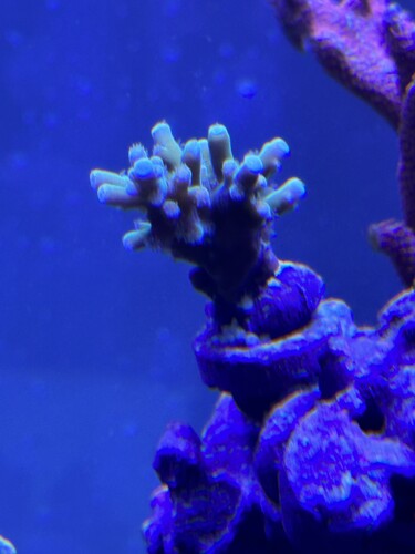 IMG_0706.jpeg