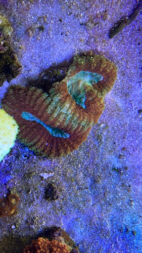 IMG_2935.jpeg