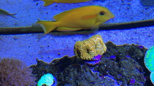 IMG_2919.jpeg