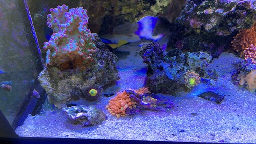 IMG_2912.jpeg