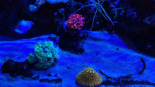 IMG_3053.jpeg