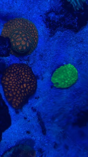 IMG_3165.jpeg