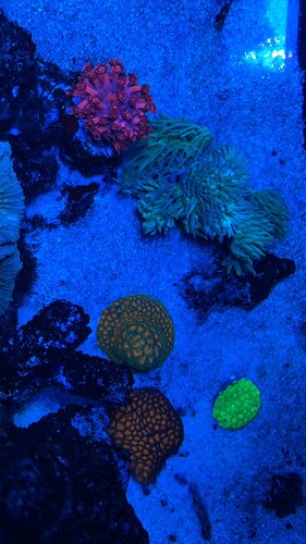 IMG_3153.jpeg