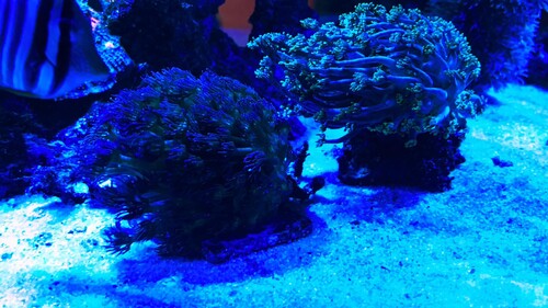IMG_3141.jpeg