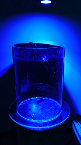 IMG_3535.jpeg