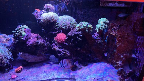 IMG_3820.jpeg