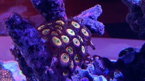 IMG_3812.jpeg